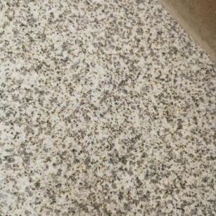 朔州 黄金麻中黄光面