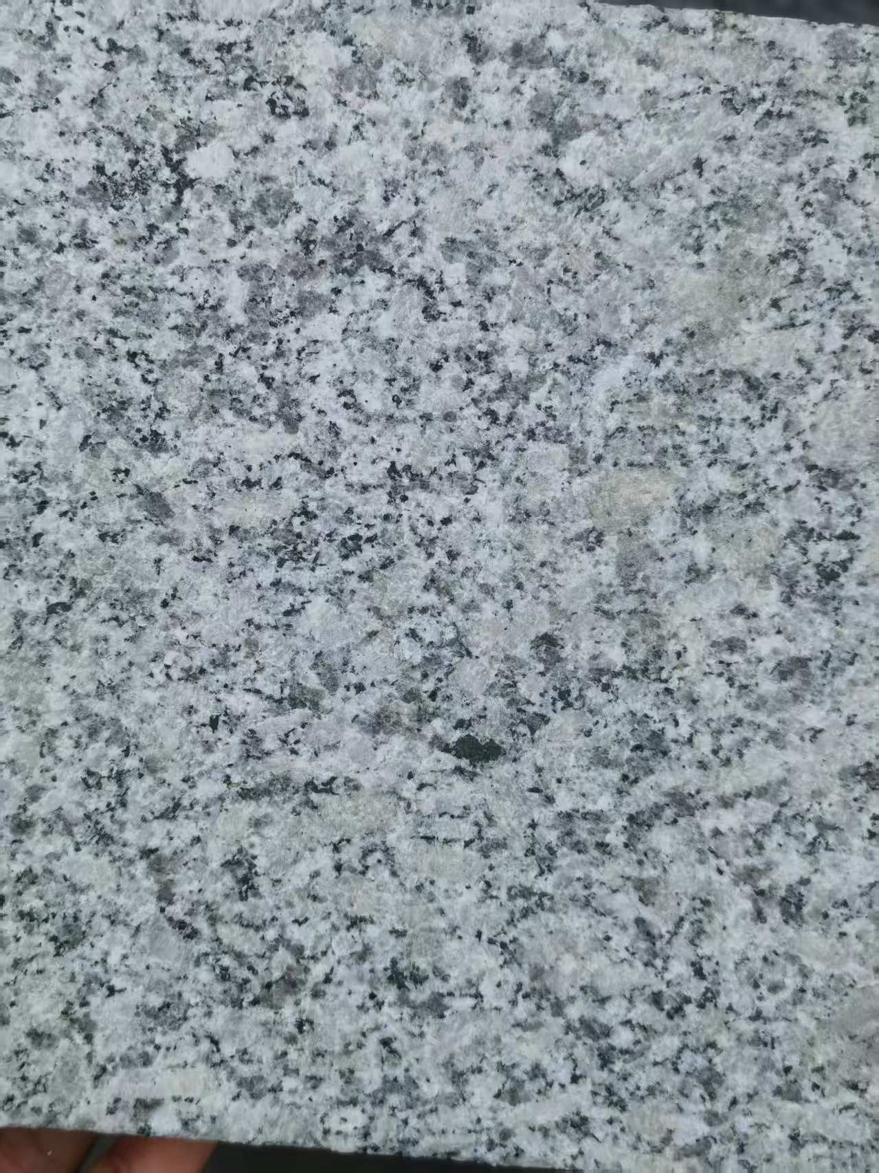 朔州 芙蓉白火烧面