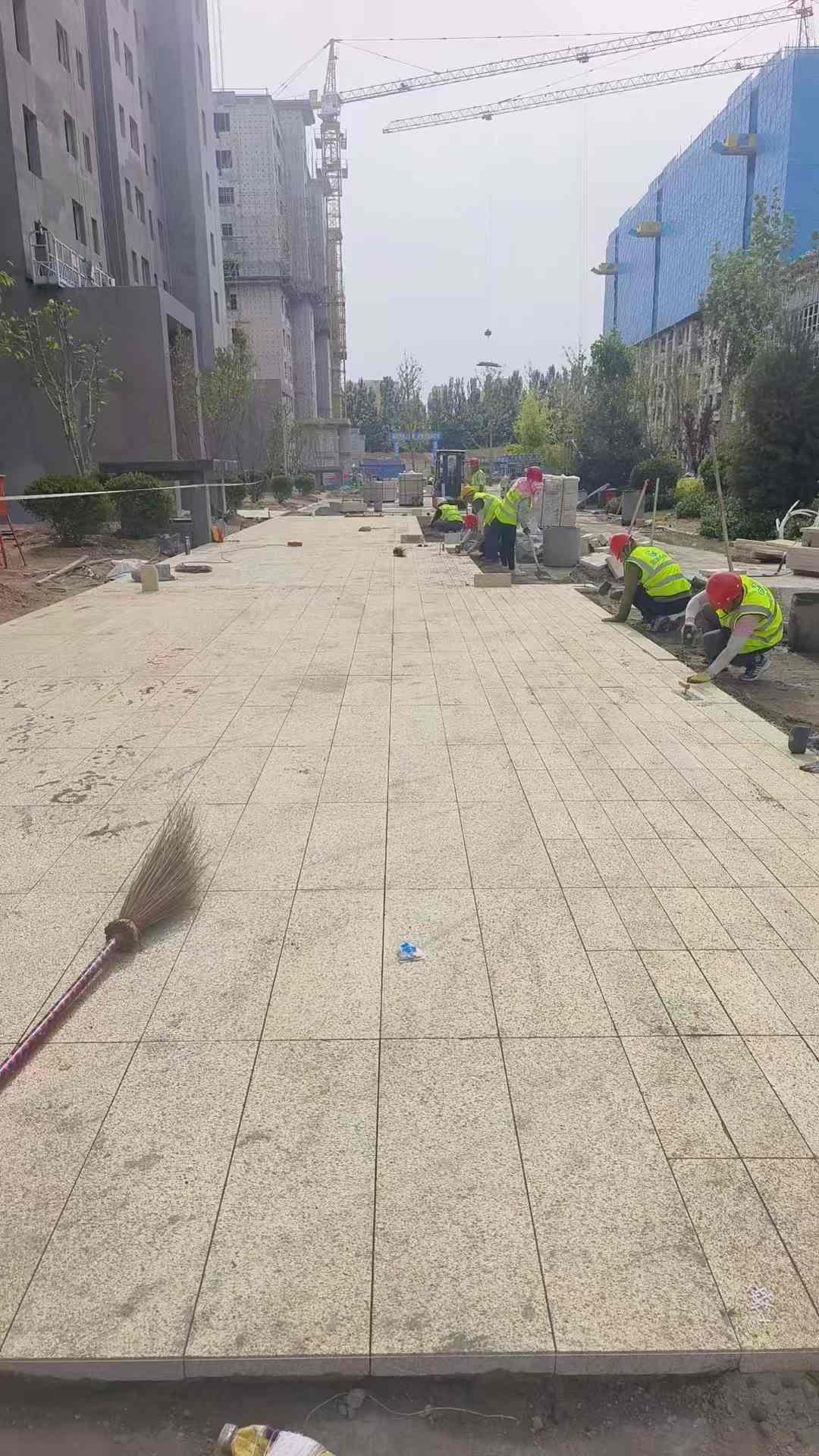 朔州黄金麻荔枝面地铺案例
