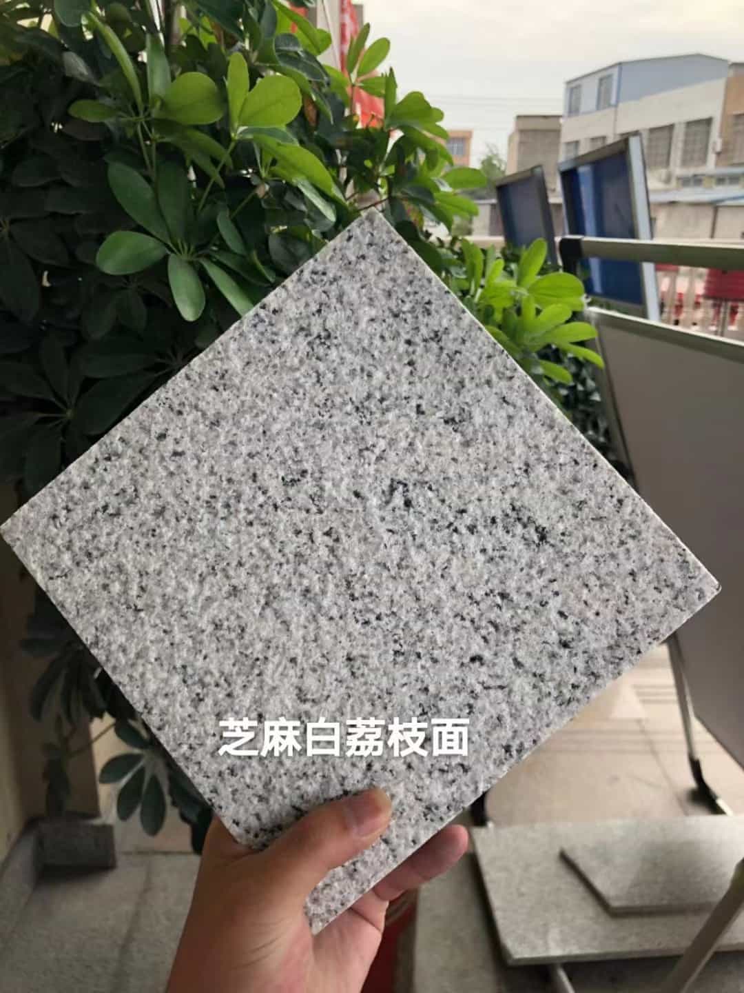 朔州 芝麻白荔枝面干挂